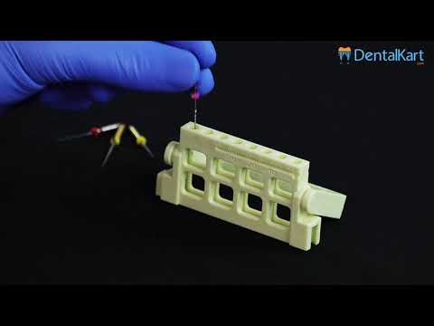 ET Dental Endo File Holder (THY-232)	 - 2