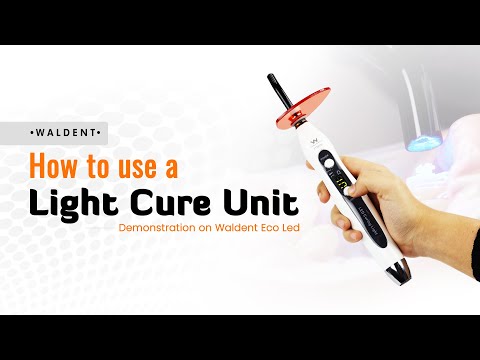 Waldent ECO Plus Light Curing Unit - 2