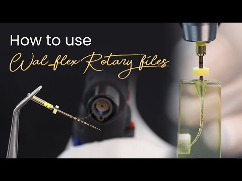 Waldent Wal-flex Gold Rotary Files - Assorted - 2