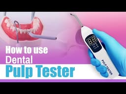 Waldent Electric Pulp Tester - 2