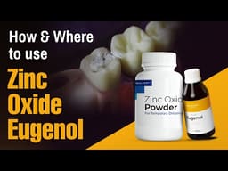 Waldent Zinc Oxide Powder - 2