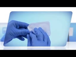Geistlich Bio-Gide - 2