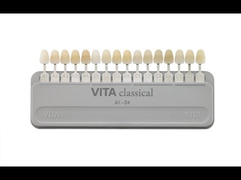 Vita Classical Shade Guide - 2