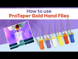 Waldent Progressive Taper Gold Hand files - 2