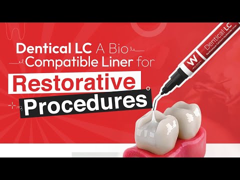 Waldent Dentical LC Calcium Hydroxide Liner - 2