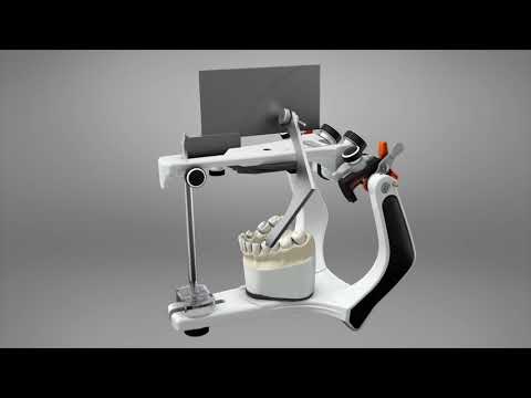 Bio Art Broadrick Flag - 2