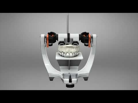 Bio-Art Dental Articulator Camper's Table - 2