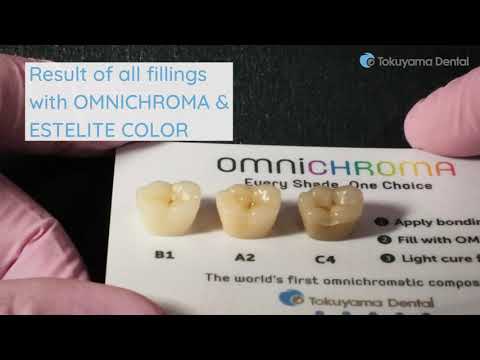 Tokuyama Palfique Omnichroma 4g Syringe Universal Shade - 2