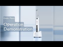 Woodpecker Endopace Brushless Endomotor  - 2