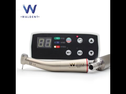 Waldent TurboDrive Brushless LED Electric Motor With 1:5 Increasing Handpiece (W-146)            - 3
