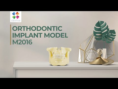 iDENTical Orthodontic Implant Model - M2016 - 2