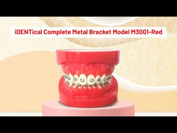 iDENTical Complete Metal Bracket Model M3001-Red - 2