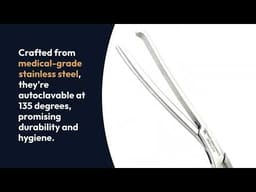 Waldent Cheatle Forceps 27cm - 2