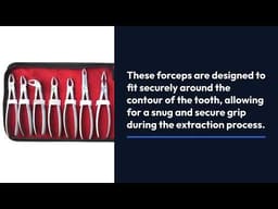 Waldent Extraction Forceps Kit Set of 14 (K1/7) - 2