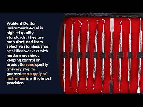 Waldent Conservative Instrument Kit of 20 (K15/1) - 2