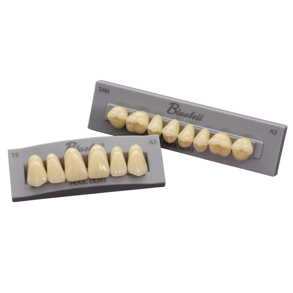 Huge Dental Bluebell Acrylic Denture Teeth A3 (Set of 28)