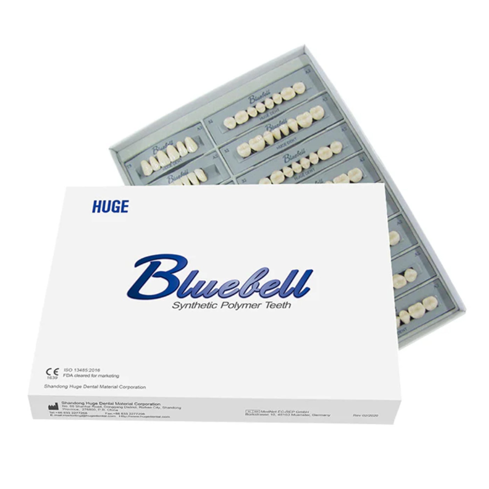 Huge Dental Bluebell Acrylic Denture Teeth A3 (Set of 28)