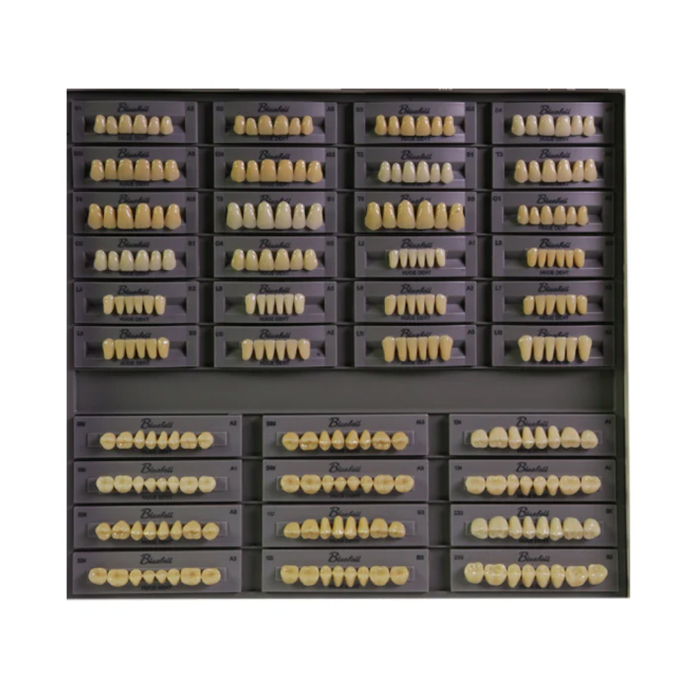 Huge Dental Bluebell Acrylic Denture Teeth A2 (Set of 28)