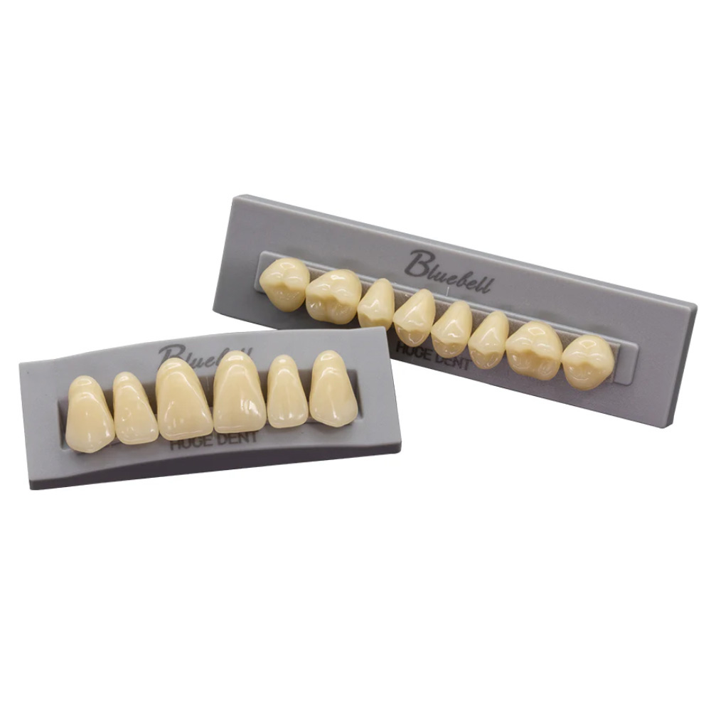 Huge Dental Bluebell Acrylic Denture Teeth A2 (Set of 28)