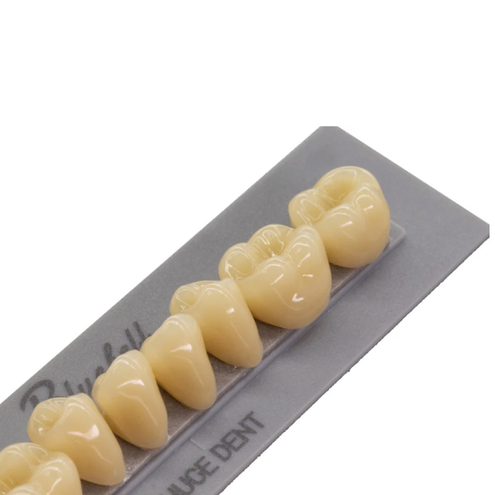 Huge Dental Bluebell Acrylic Denture Teeth A2 (Set of 28)