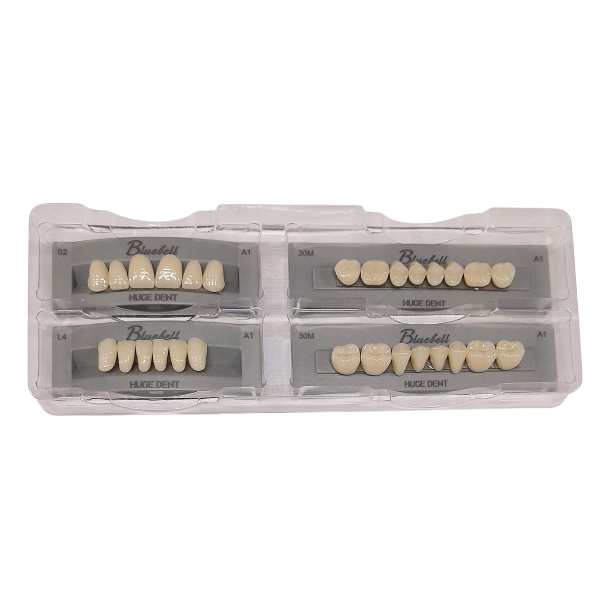 Huge Dental Sonning Acrylic Denture Teeth S2-A1 (Set of 28)