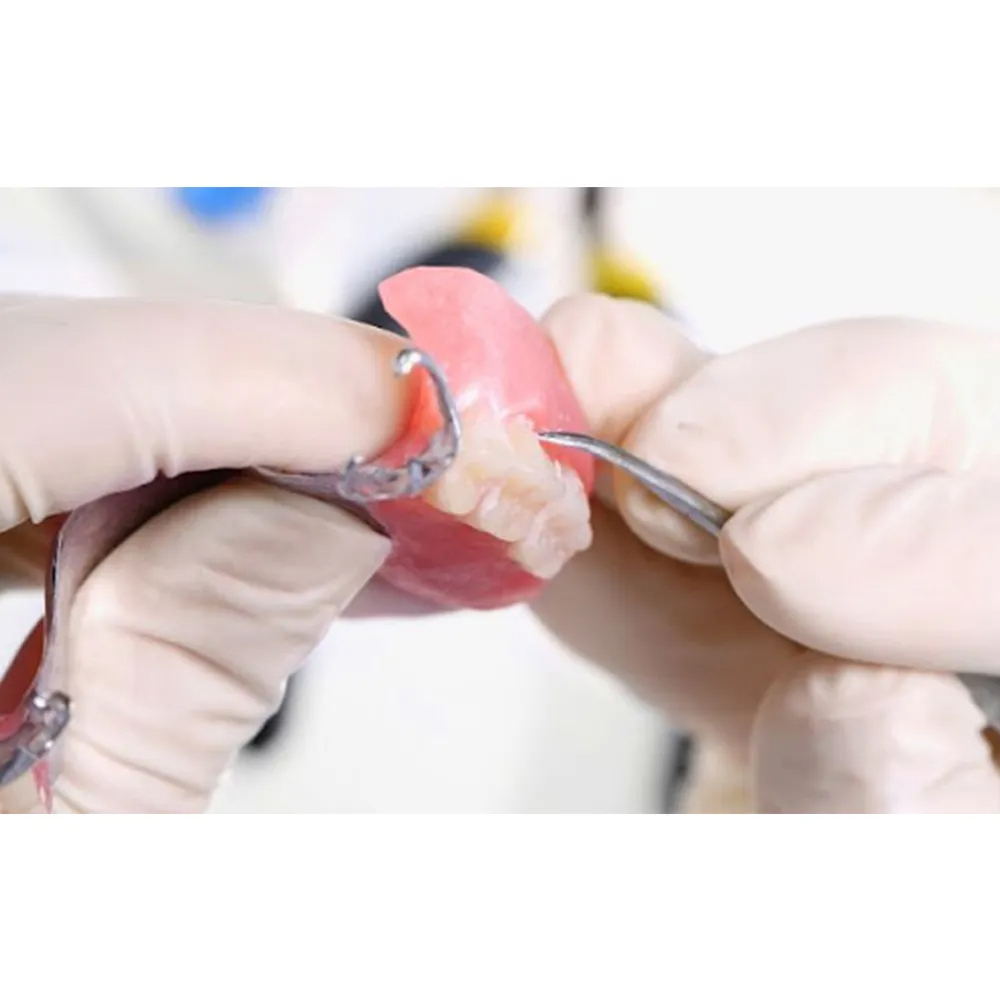 GDC Hylin Carver (Wch1)