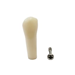 iDENTical Typodonts Upper Left Central Incisor For Nissin Type Jaw Set - Individual - 21