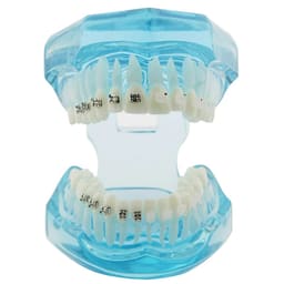 iDENTical Half Metal and Half Ceramic Brackets Orthodontic Models M3003 - 10