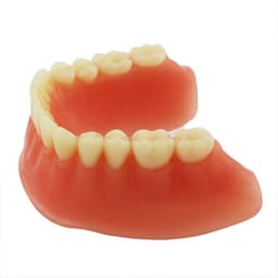 iDENTical Implant Model With Silver Bar M6008 - 8