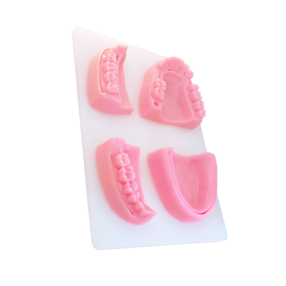 iDENTical Dental Educational Suture Model	