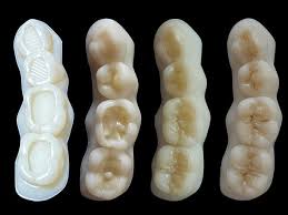 Dpi Selfcure Tooth Moulding Powder