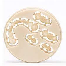Maarc CAD-CAM Milling Wax Blanks (Open System Type) - Tooth Color