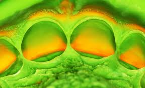 Zhermack Elite Hd+ Putty Soft Normal Set 2 x 250ML