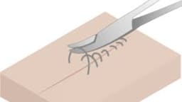 GDC Scissors Iris - Curved (11.5cm) (S18) - 5