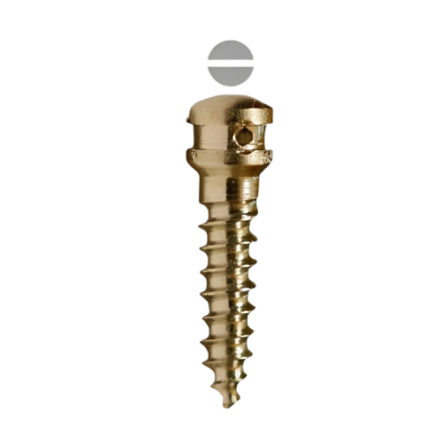 SK Surgicals Titanium IMF Screws