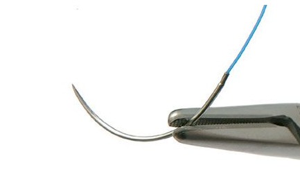 Waldent Needle Holder Mayo-Hegar 160mm #Straight (5/101)