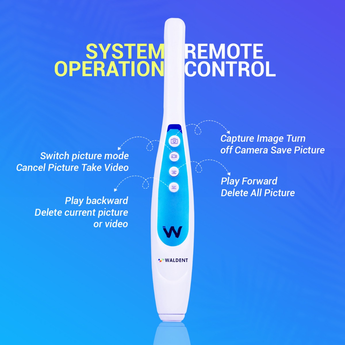Waldent Intra Oral Camera with Screen - Ergo (10 MP)