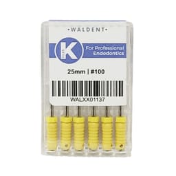 Waldent Professional K-File 25mm # 100