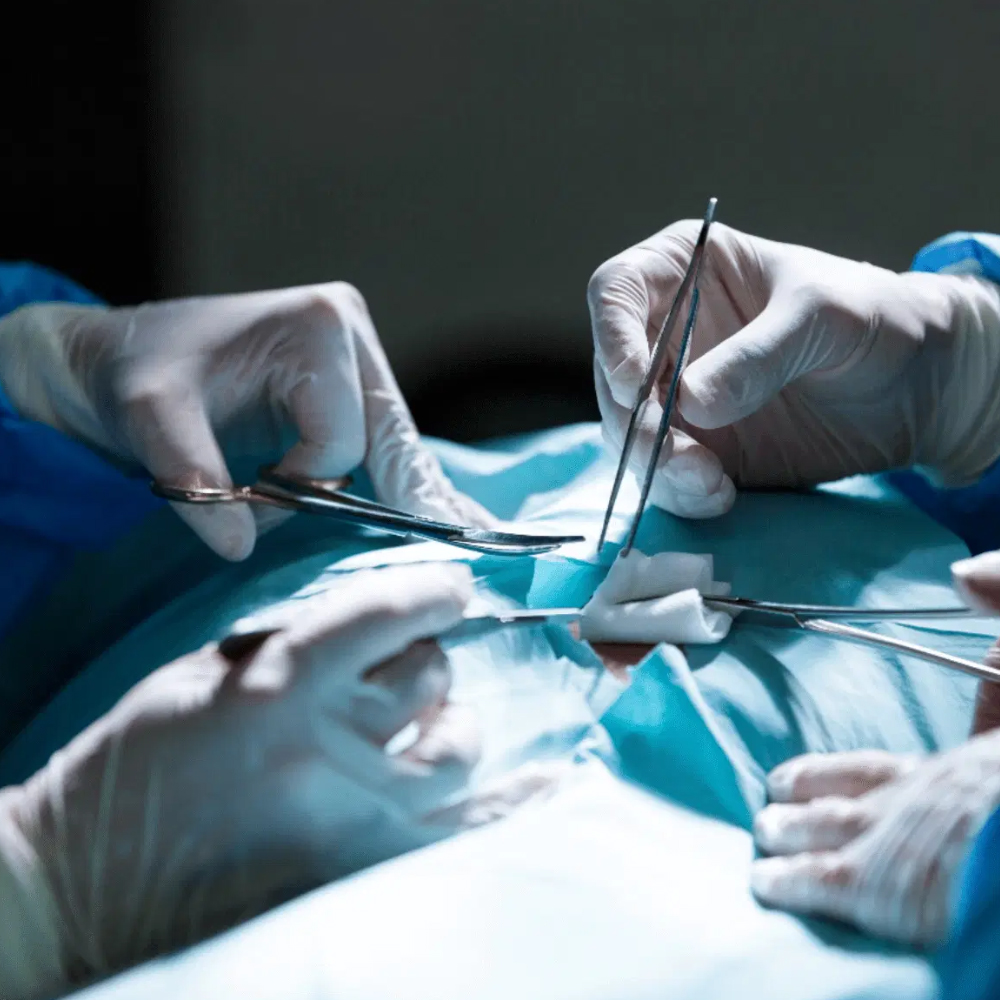 GDC Scissors Kelly - Curved (16cm) (S1)