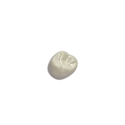 Kids-e-Dental BioFlx Upper Right 2nd Molar 6 - EUR 6