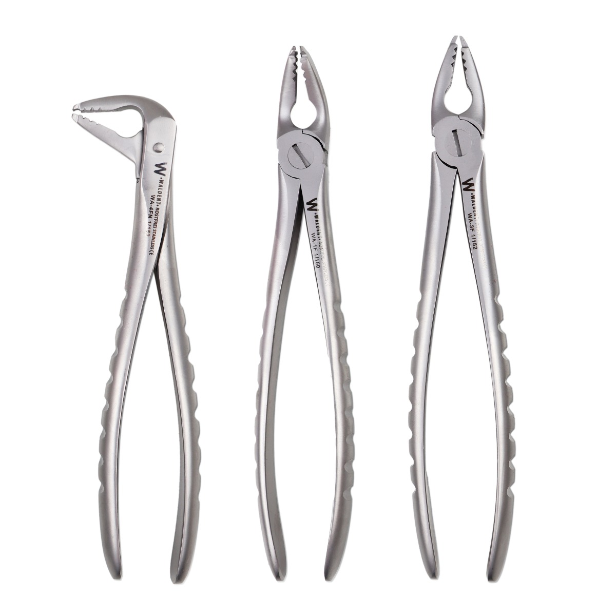 Waldent Atraumatic Extraction Instruments Forceps Kit Set of 6 - Coarse Serrations K1/5