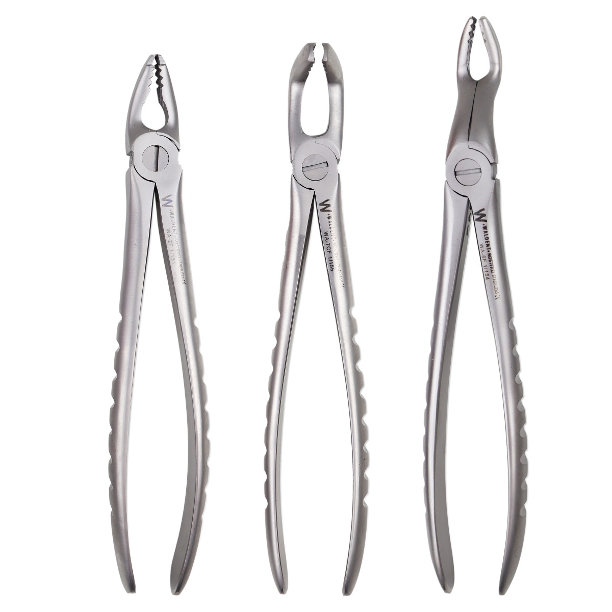 Waldent Atraumatic Extraction Instruments Forceps Kit Set of 6 - Coarse Serrations K1/5