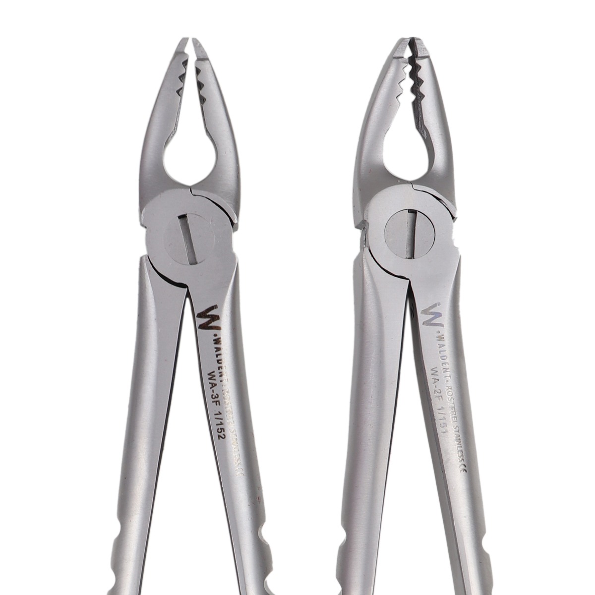 Waldent Atraumatic Extraction Instruments Forceps Kit Set of 6 - Coarse Serrations K1/5