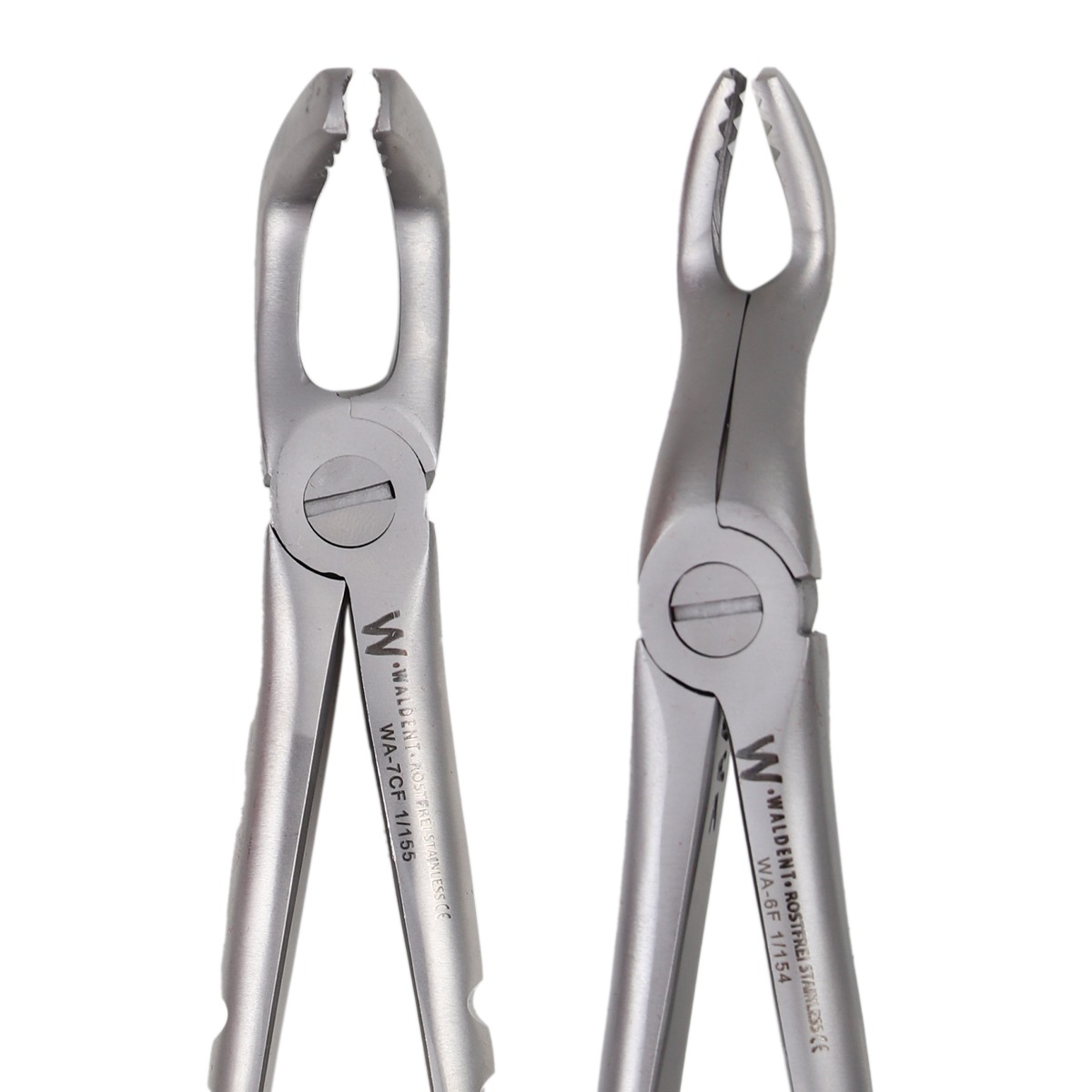 Waldent Atraumatic Extraction Instruments Forceps Kit Set of 6 - Coarse Serrations K1/5