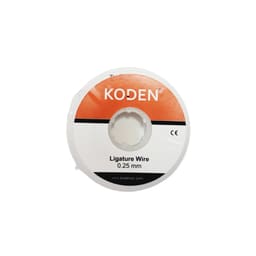 Koden