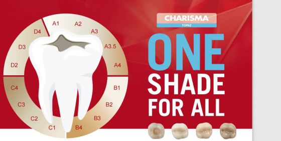 Kulzer Charisma Topaz One Shade Resin Based Restorative Composite Kit