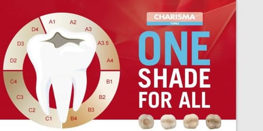 Kulzer Charisma Topaz One Shade Resin Based Restorative Composite Kit