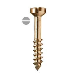 SK Surgicals SS Lag Screws - 2.5mm x 18mm (25018SL)