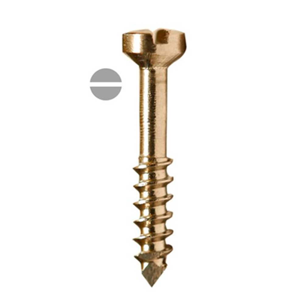 SK Surgicals SS Lag Screws - 2.5mm x 26mm (25026SL)