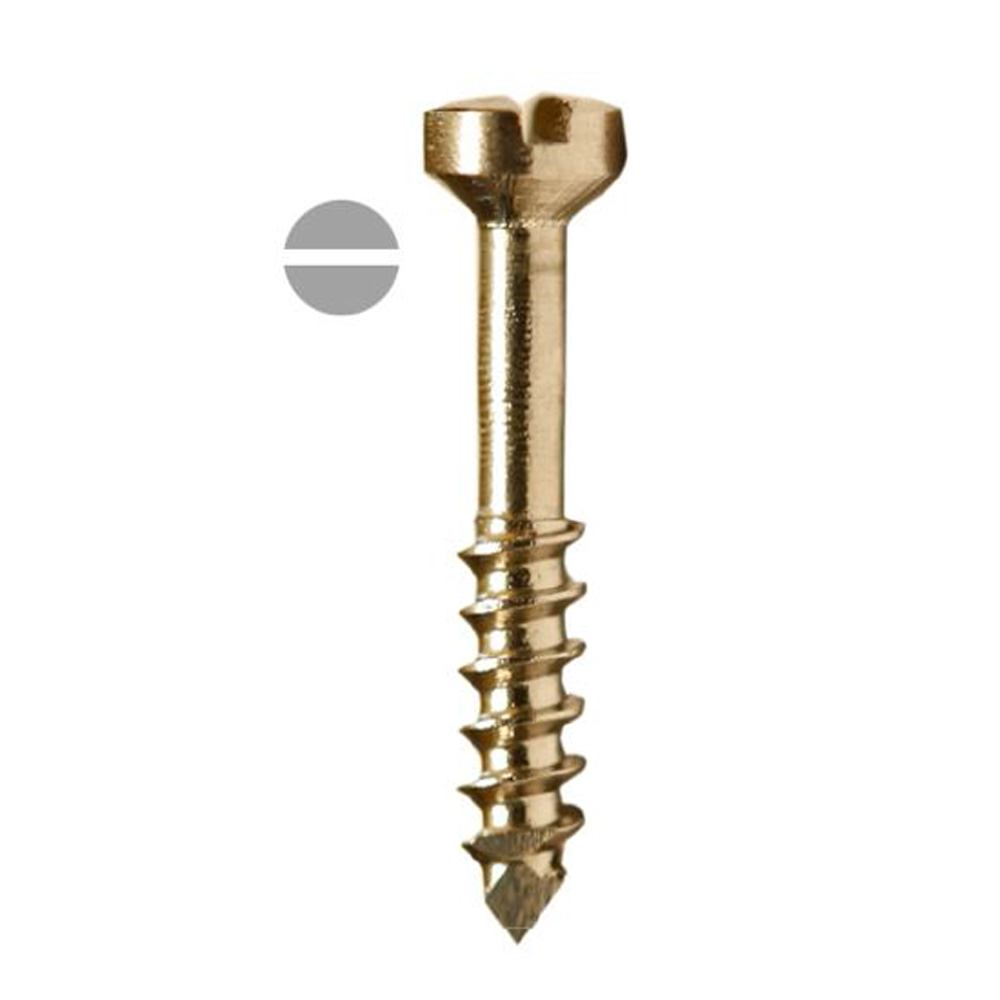 SK Surgicals SS Lag Screws - 2mm